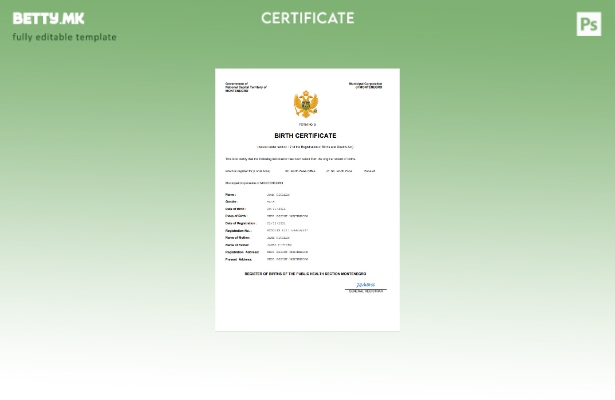 модерен стил Црна Гора извод од матична книга на родени Шаблон Word и PDF шаблон